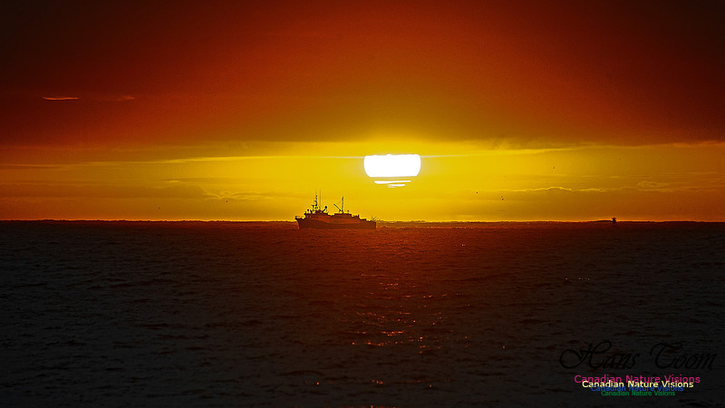 Dawn Over Sambro Islands 107
