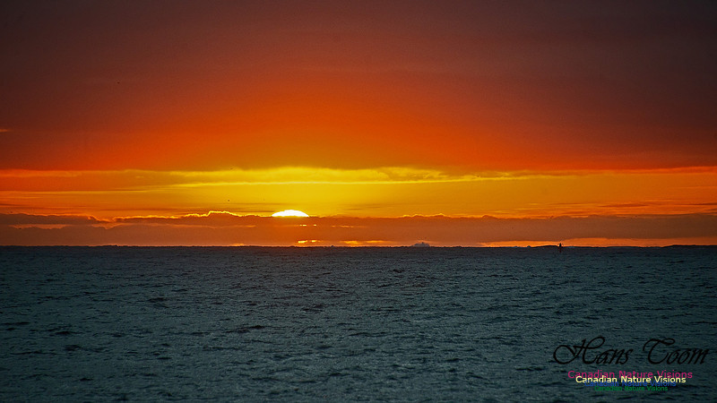 Dawn Over Sambro Islands 110