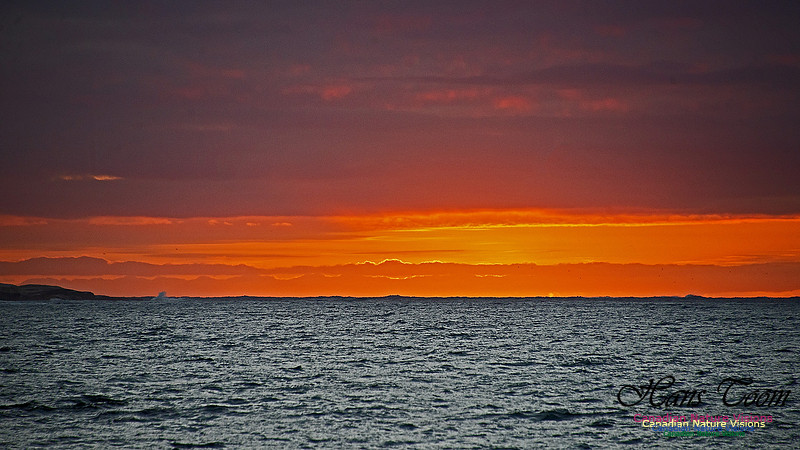 Dawn Over Sambro Islands 111