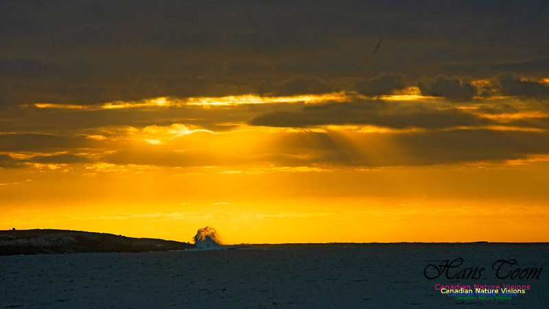 Dawn Over Sambro Islands 100