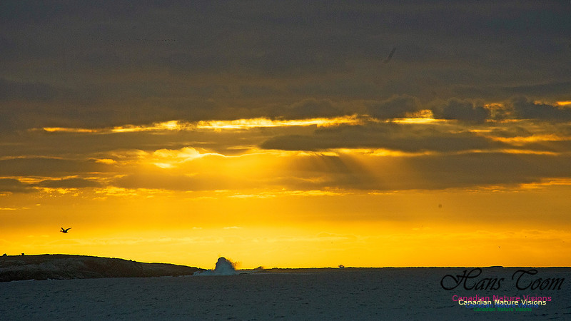 Dawn Over Sambro Islands 101