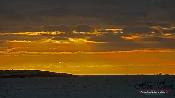 Dawn Over Sambro Islands 102