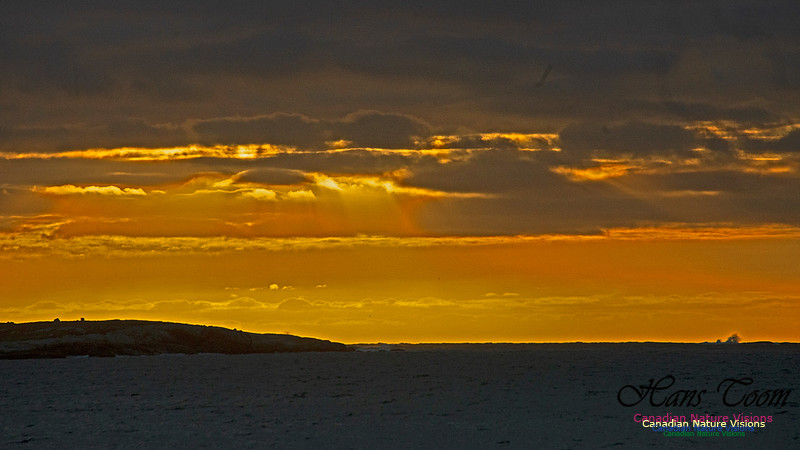 Dawn Over Sambro Islands 102