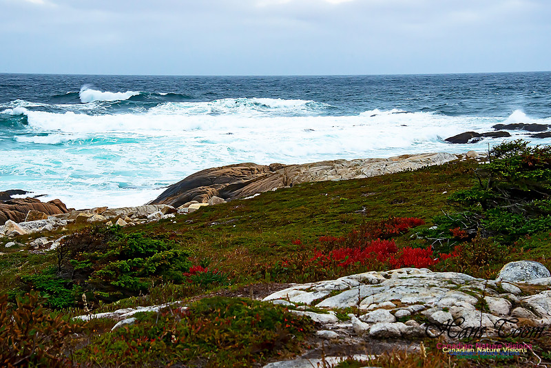 Fall Colours on the Barrens 108