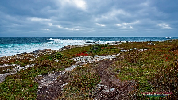 Fall Colours on the Barrens 109