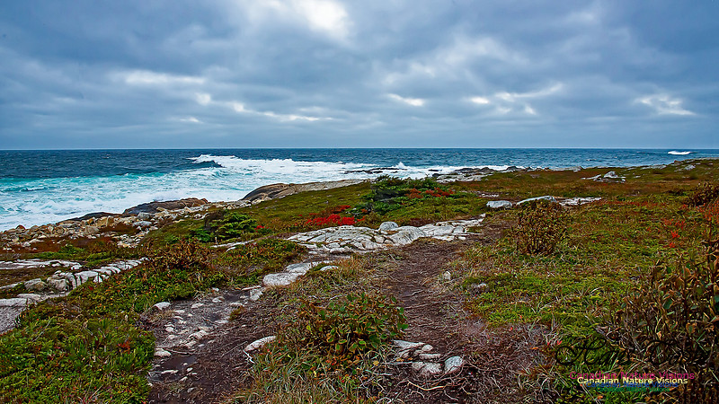 Fall Colours on the Barrens 109