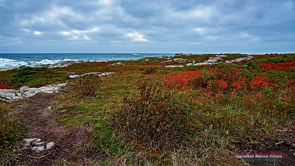 Fall Colours on the Barrens 110