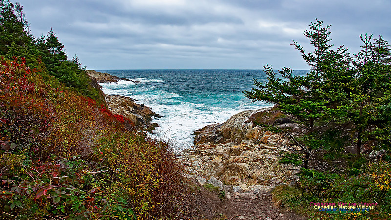 Fall Colours on the Barrens 112