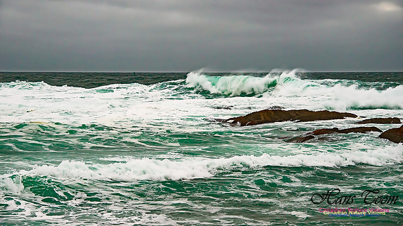 Duncan Reef 102