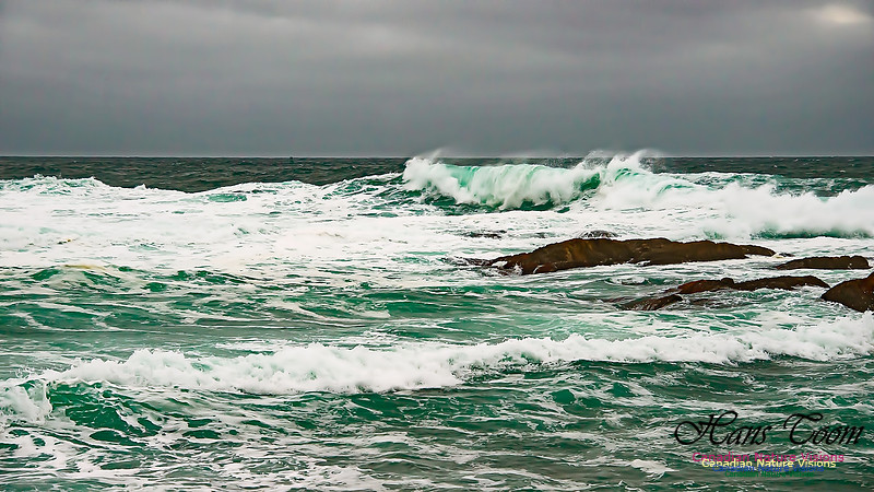 Duncan Reef 102