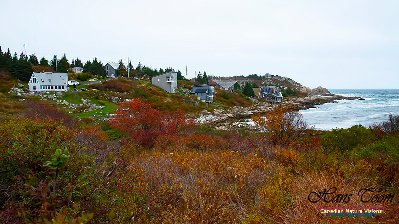 Duncan's Cove 100