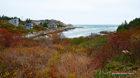 Duncan's Cove 101
