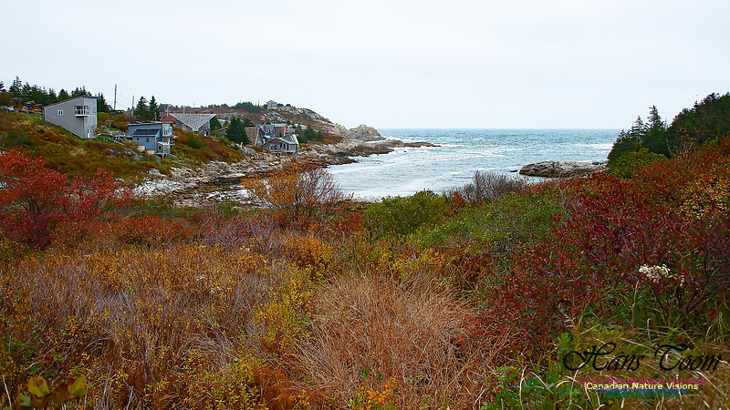 Duncan's Cove 101