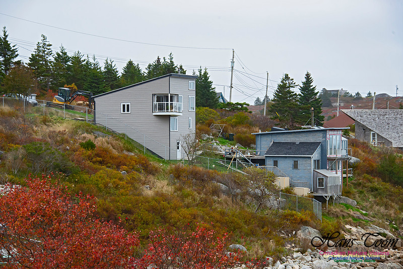 Duncan's Cove Homes 100