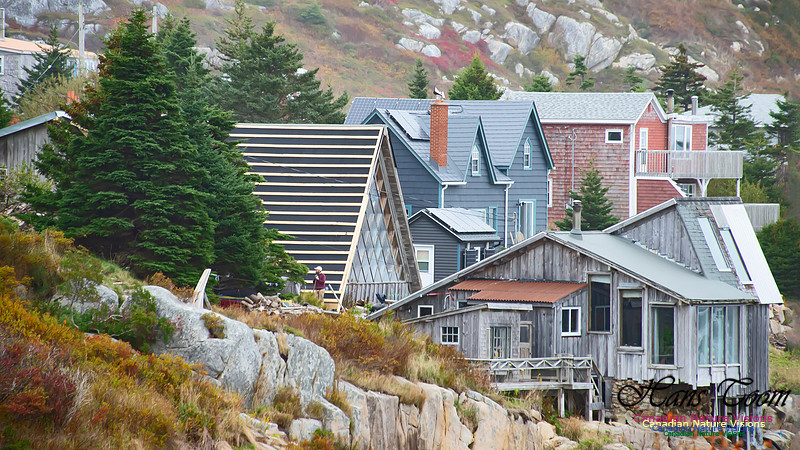 Duncan's Cove Homes 102