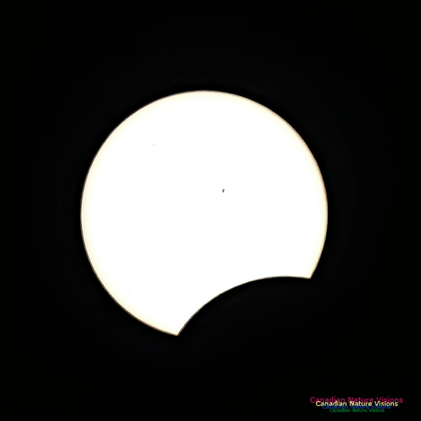 Eclipse Progression 109