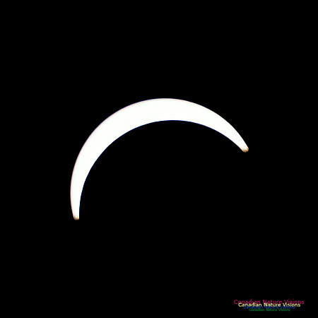 Eclipse Progression 100