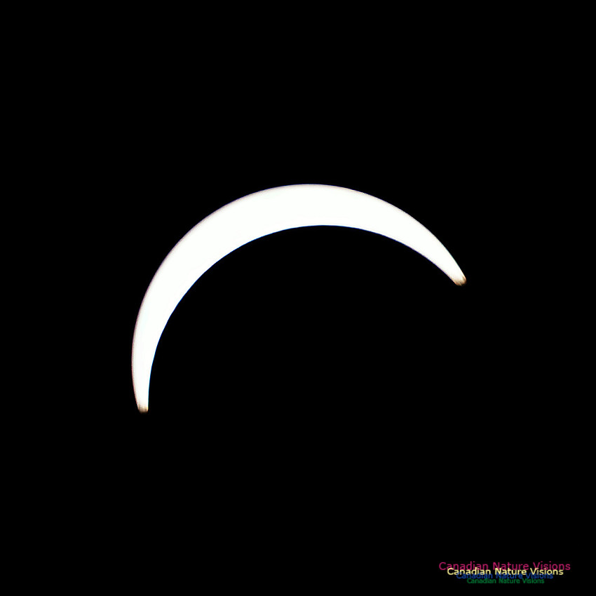 Eclipse Progression 100