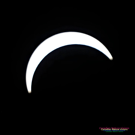 Eclipse Progression 101