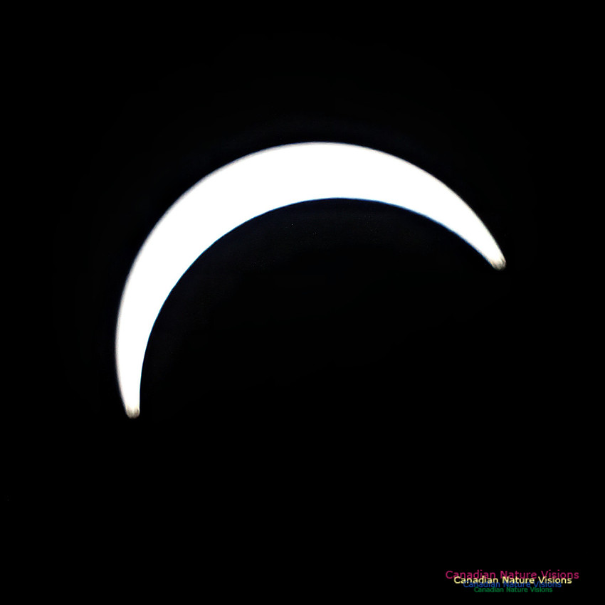 Eclipse Progression 101