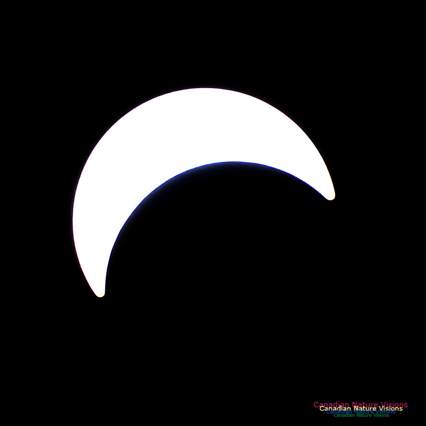 Eclipse Progression 105