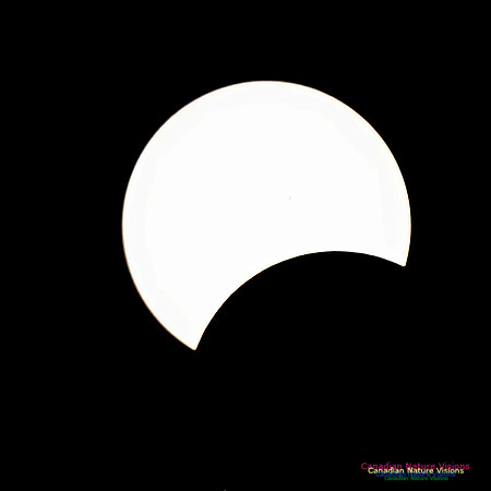 Eclipse Progression 106