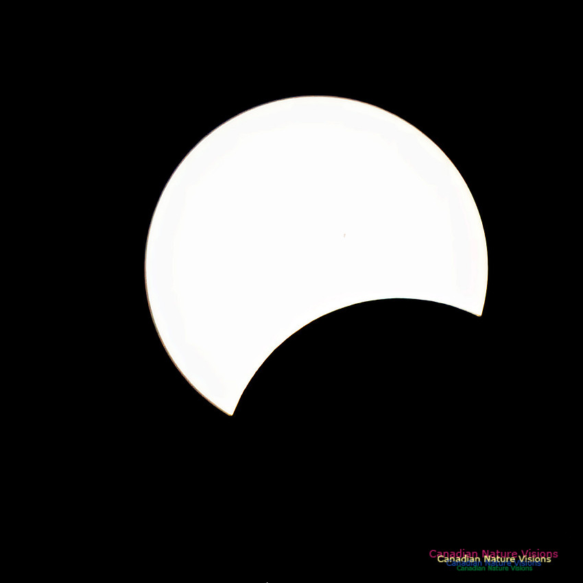Eclipse Progression 106