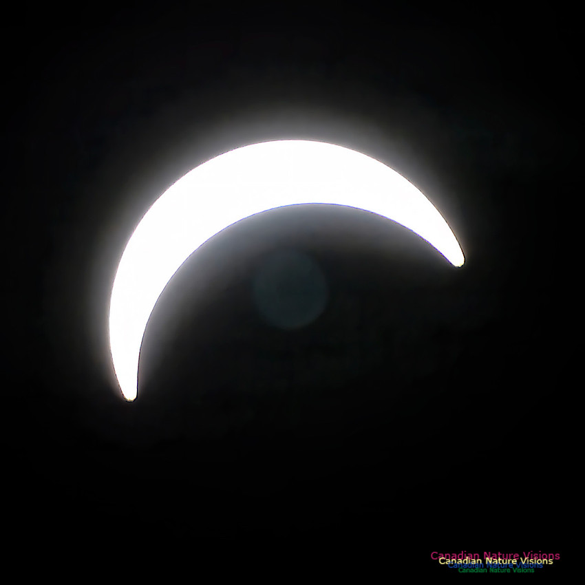 Eclipse Progression 103