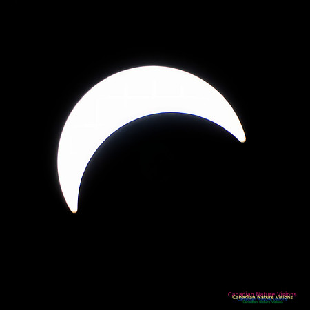 Eclipse Progression 104