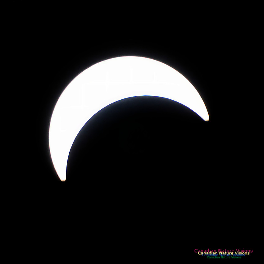 Eclipse Progression 104