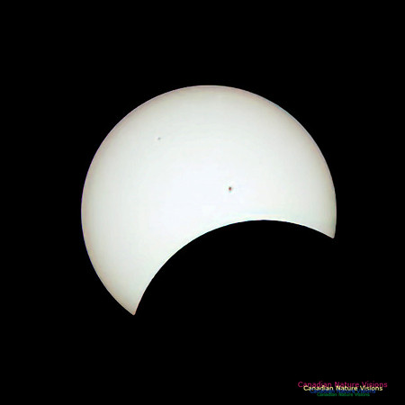 Eclipse Progression 113