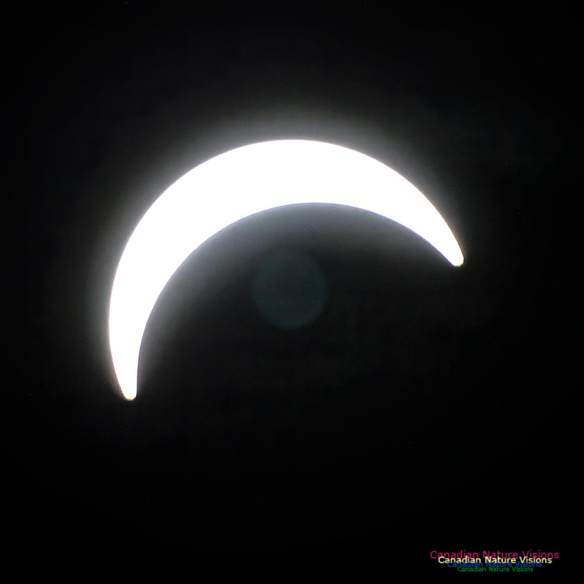 Eclipse Progression 102
