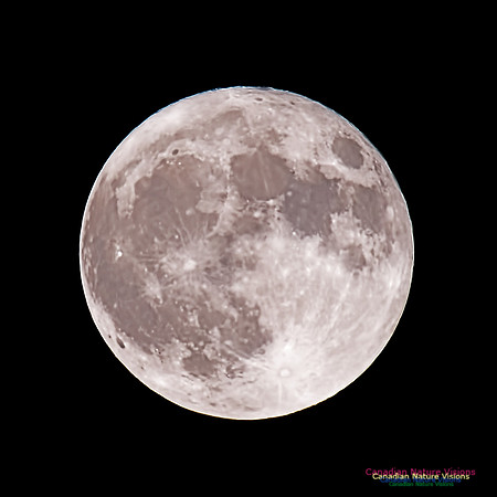 Blue Moon October 31, 2020 1