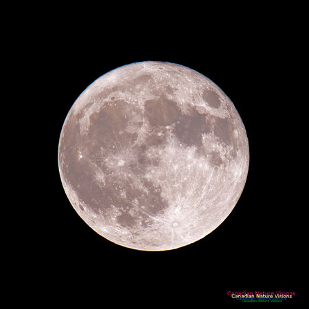 Blue Moon October 31, 2020 2