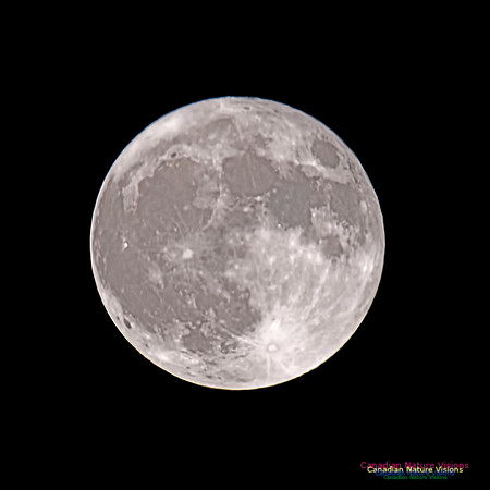 Blue Moon October 31, 2020 3