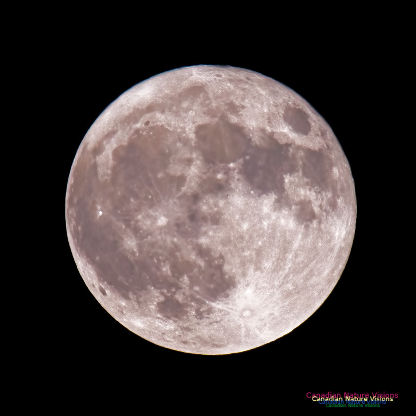 Blue Moon October 31, 2020 4