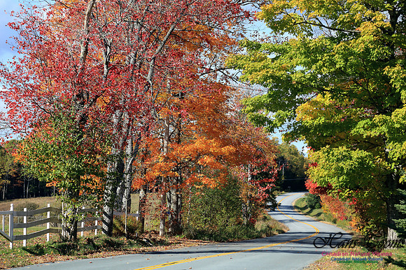 FallColours2016-1040