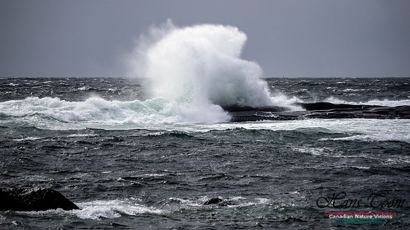 Coastal Tour 136