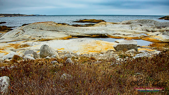 Western Prospect Barrens 105