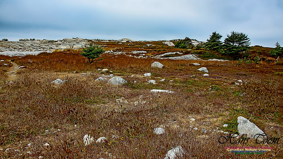 Western Prospect Barrens 109