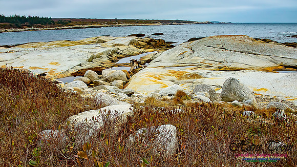 Western Prospect Barrens 106