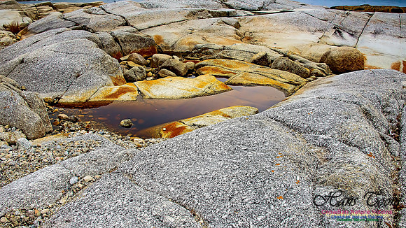 Western Prospect Barrens 111