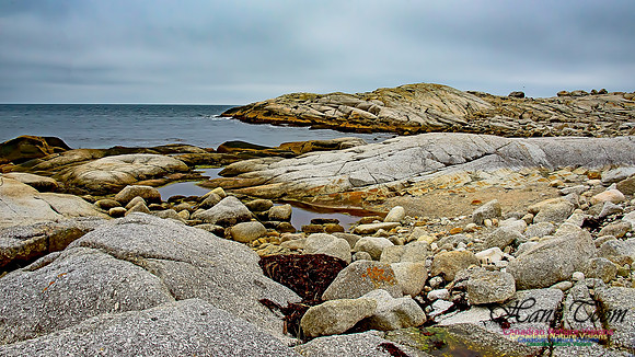 Western Prospect Barrens 112