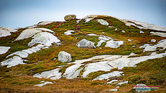 Western Prospect Barrens 113