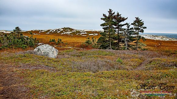 Western Prospect Barrens 115