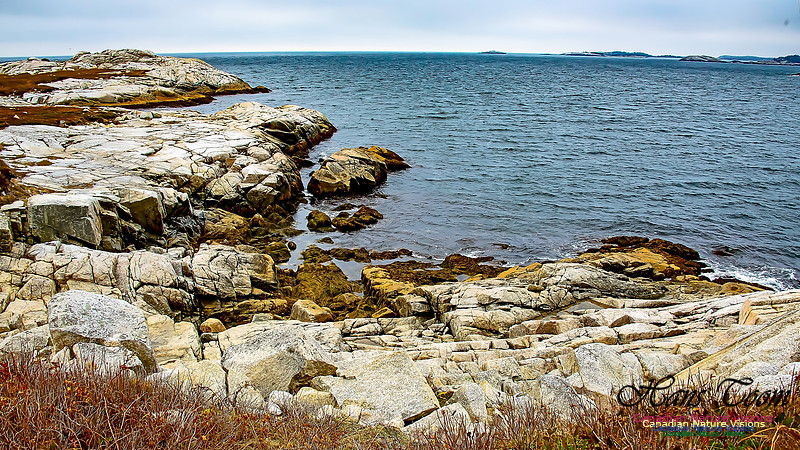 Western Prospect Barrens 116