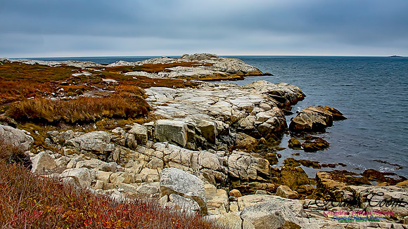 Western Prospect Barrens 117