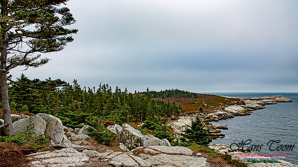 Western Prospect Barrens 118