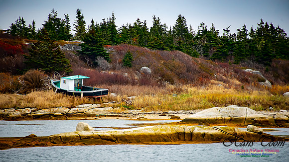 Western Prospect Barrens 100