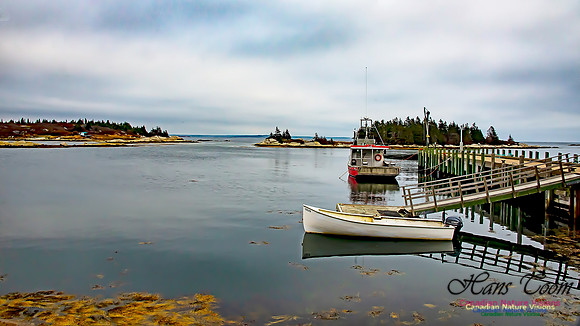 Western Prospect Barrens 101